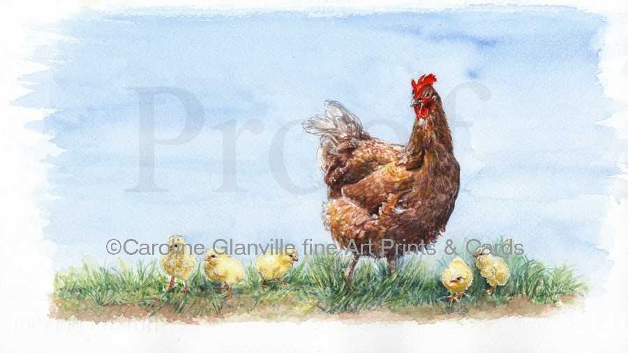 Hen with chicks, painting by Caroline Glanville